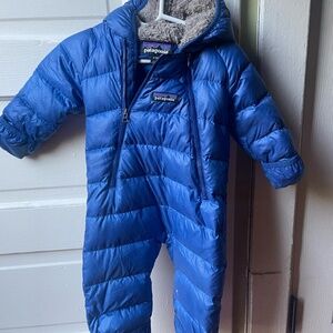 Patagonia Down Bunting